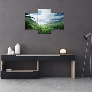 Slika - Sejšelska džungla (90x60 cm)