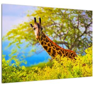 Slika žirafe v Afriki (70x50 cm)