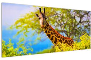 Slika žirafe v Afriki (120x50 cm)