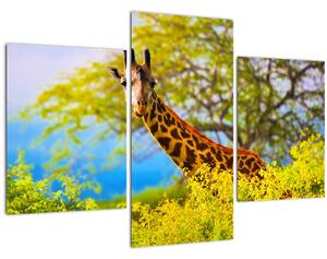 Slika žirafe v Afriki (90x60 cm)