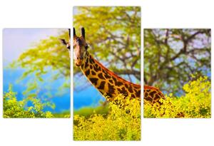Slika žirafe v Afriki (90x60 cm)