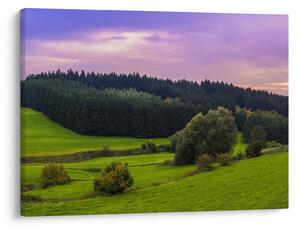 Slika livade (70x50 cm)
