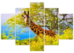 Slika žirafe v Afriki (150x105 cm)