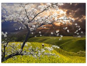 Slika - Cvetoče drevo v pokrajini (70x50 cm)