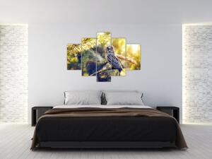 Slika sove na drevesu (150x105 cm)