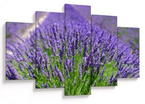 Slika - lavanda (150x105 cm)