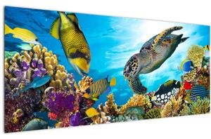 Slika koralnega grebena (120x50 cm)