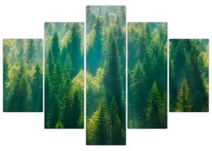 Slika - Borov gozd (150x105 cm)