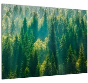 Slika - Borov gozd (70x50 cm)