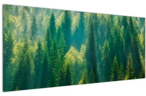 Slika - Borov gozd (120x50 cm)