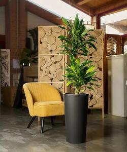 Ukrasna posuda Brooklyn 75×40 antracit - Antracit - 71 - 90 cm - Umjetna masa - DA