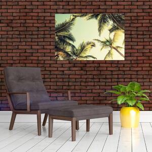 Slika s kokosovimi palmami (90x60 cm)