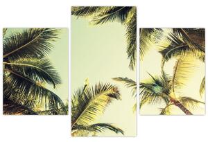 Slika s kokosovimi palmami (90x60 cm)