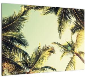 Slika s kokosovimi palmami (70x50 cm)