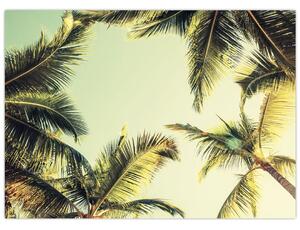 Slika s kokosovimi palmami (70x50 cm)