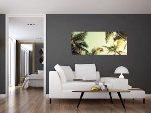 Slika s kokosovimi palmami (120x50 cm)