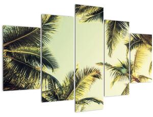 Slika s kokosovimi palmami (150x105 cm)