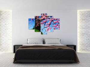 Podoba naslikanega češnjevega cveta (150x105 cm)