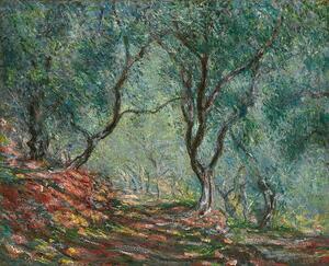 Monet, Claude - Reprodukcija umjetnosti Olive Trees in the Moreno Garden, 1884, (40 x 35 cm)