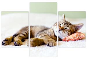 Slika - Speči maček (90x60 cm)