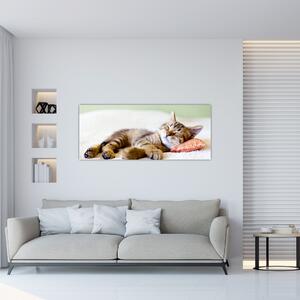 Slika - Speči maček (120x50 cm)