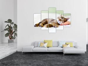 Slika - Speči maček (150x105 cm)
