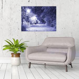 Slika - Čarobna zimska noč (70x50 cm)
