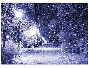 Slika - Čarobna zimska noč (70x50 cm)
