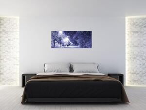 Slika - Čarobna zimska noč (120x50 cm)