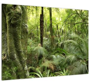 Slika tropskega deževnega gozda (70x50 cm)