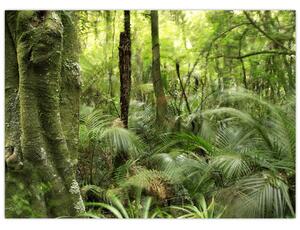 Staklena slika tropskega deževnega gozda (70x50 cm)