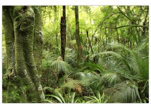 Slika tropskega deževnega gozda (90x60 cm)