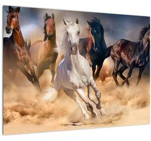 Slika - Konji v puščavi (70x50 cm)