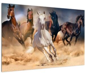 Slika - Konji v puščavi (90x60 cm)
