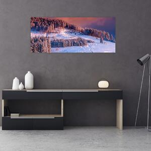 Slika zimske pokrajine (120x50 cm)