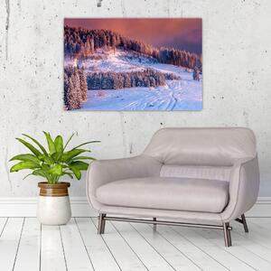 Slika zimske pokrajine (90x60 cm)