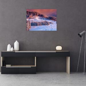 Slika zimske pokrajine (70x50 cm)