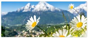 Slika - Pomlad v Alpah (120x50 cm)