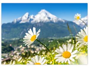 Slika - Pomlad v Alpah (70x50 cm)
