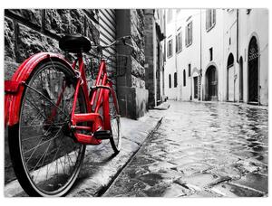 Slika rdečega kolesa na tlakovani ulici (70x50 cm)