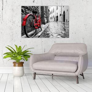 Slika rdečega kolesa na tlakovani ulici (90x60 cm)