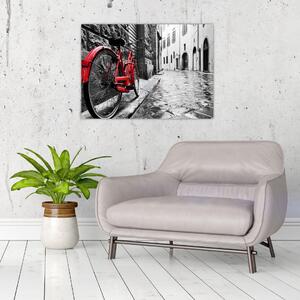 Slika rdečega kolesa na tlakovani ulici (70x50 cm)