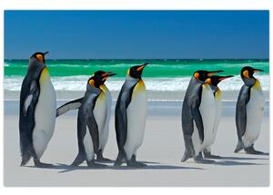 Slika - Skupina kraljevih pingvinov (90x60 cm)