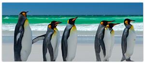 Slika - Skupina kraljevih pingvinov (120x50 cm)