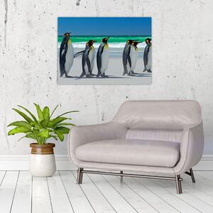 Slika - Skupina kraljevih pingvinov (70x50 cm)