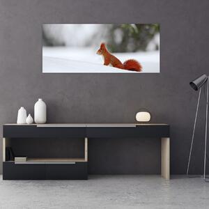 Podoba veverice (120x50 cm)