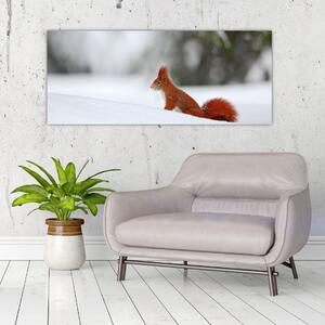 Podoba veverice (120x50 cm)