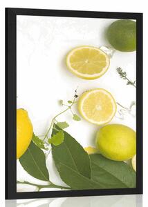 Plakat miks citrusa