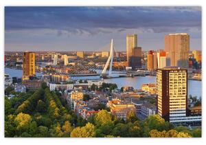 Slika - Obzorje Rotterdama, Nizozemska (90x60 cm)