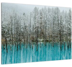 Slika - Turkizni ribnik, Biei, Japonska (70x50 cm)